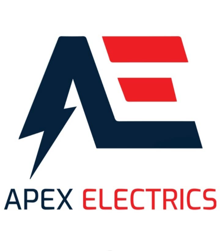 APEX ELECTRICS LIMITED